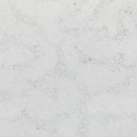 Carrara Dove