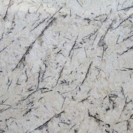 Artic Cream / Cream Antartide